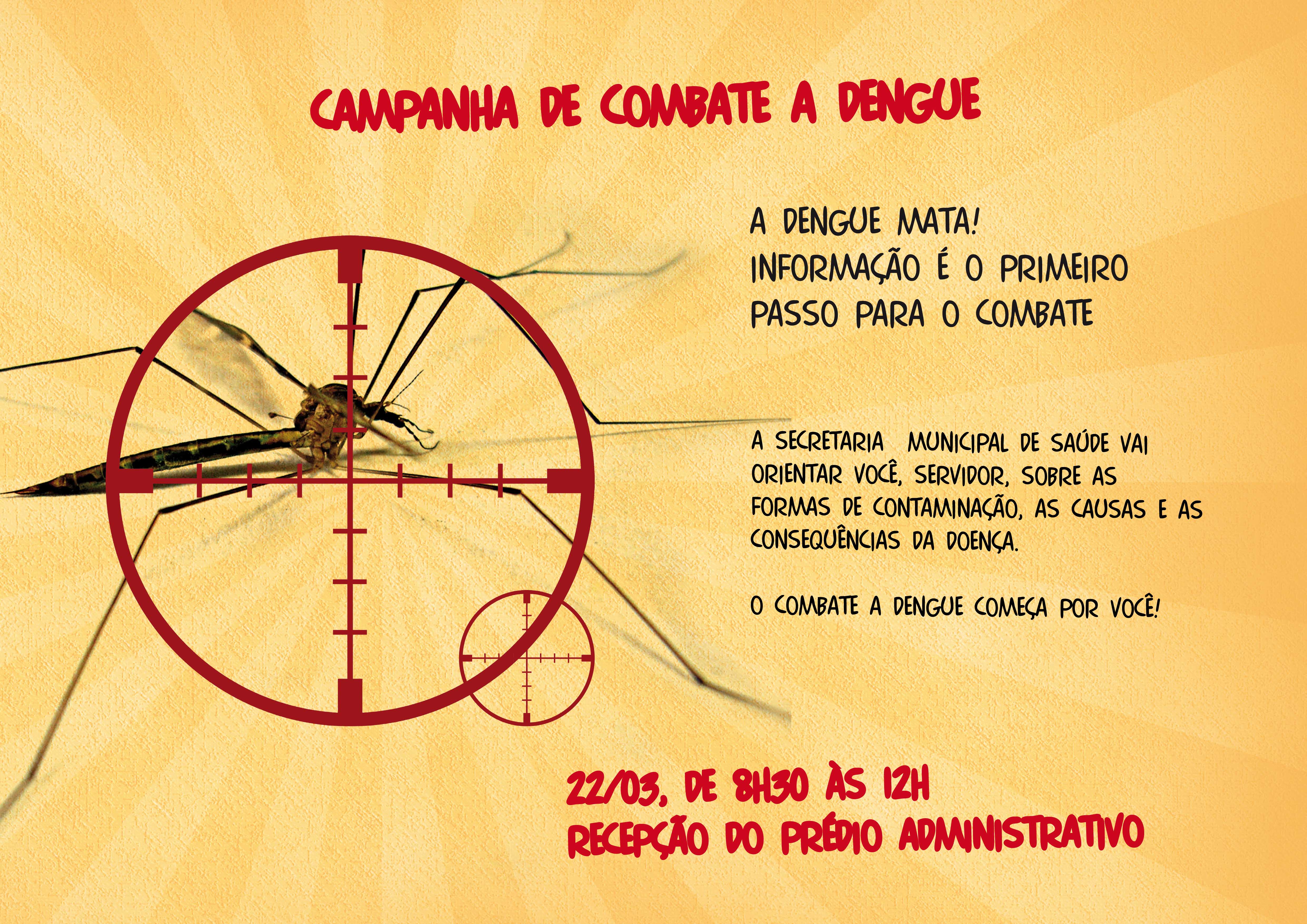 Campanha de Combate a Dengue – 2012 | Fabiane Mello.com.br